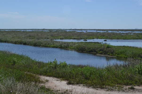 Lagoons at the Brazoria Wildlife Refuge