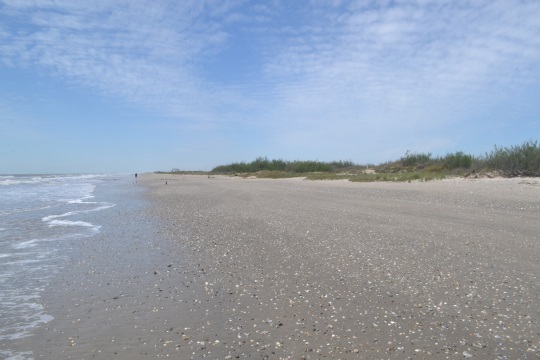A beach on Follet's Island